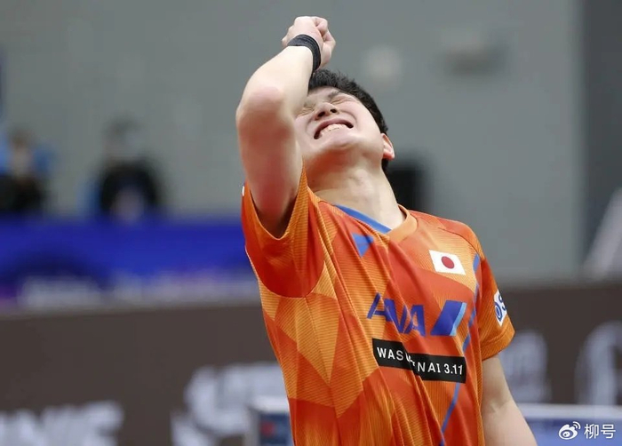 开云体育官网-4-3绝杀日本张本智和，4-0夺冠，林昀儒背靠背冲冠，流感退赛留遗憾|多哈冠军赛|冠军赛|挑战赛|半决赛|温瑞博_新浪体育_新浪新闻